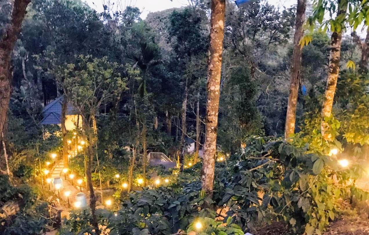 Misty Rain Estate Hotel Madikeri Bagian luar foto
