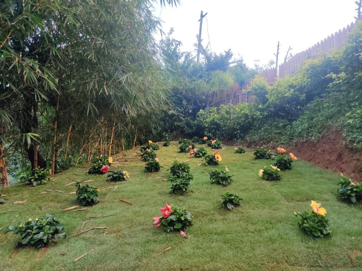 Misty Rain Estate Hotel Madikeri Bagian luar foto