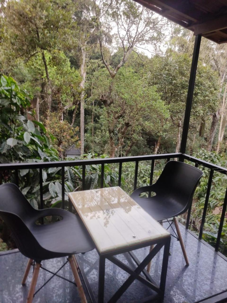 Misty Rain Estate Hotel Madikeri Bagian luar foto