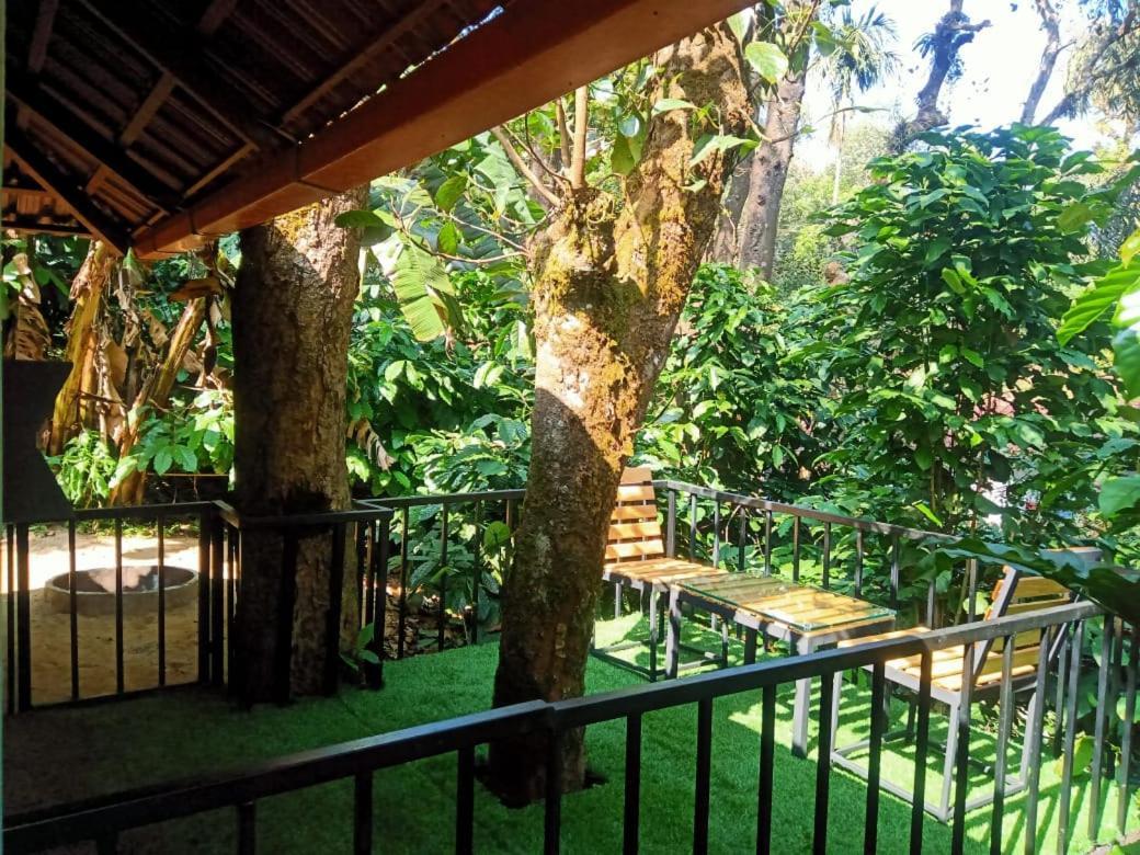 Misty Rain Estate Hotel Madikeri Bagian luar foto