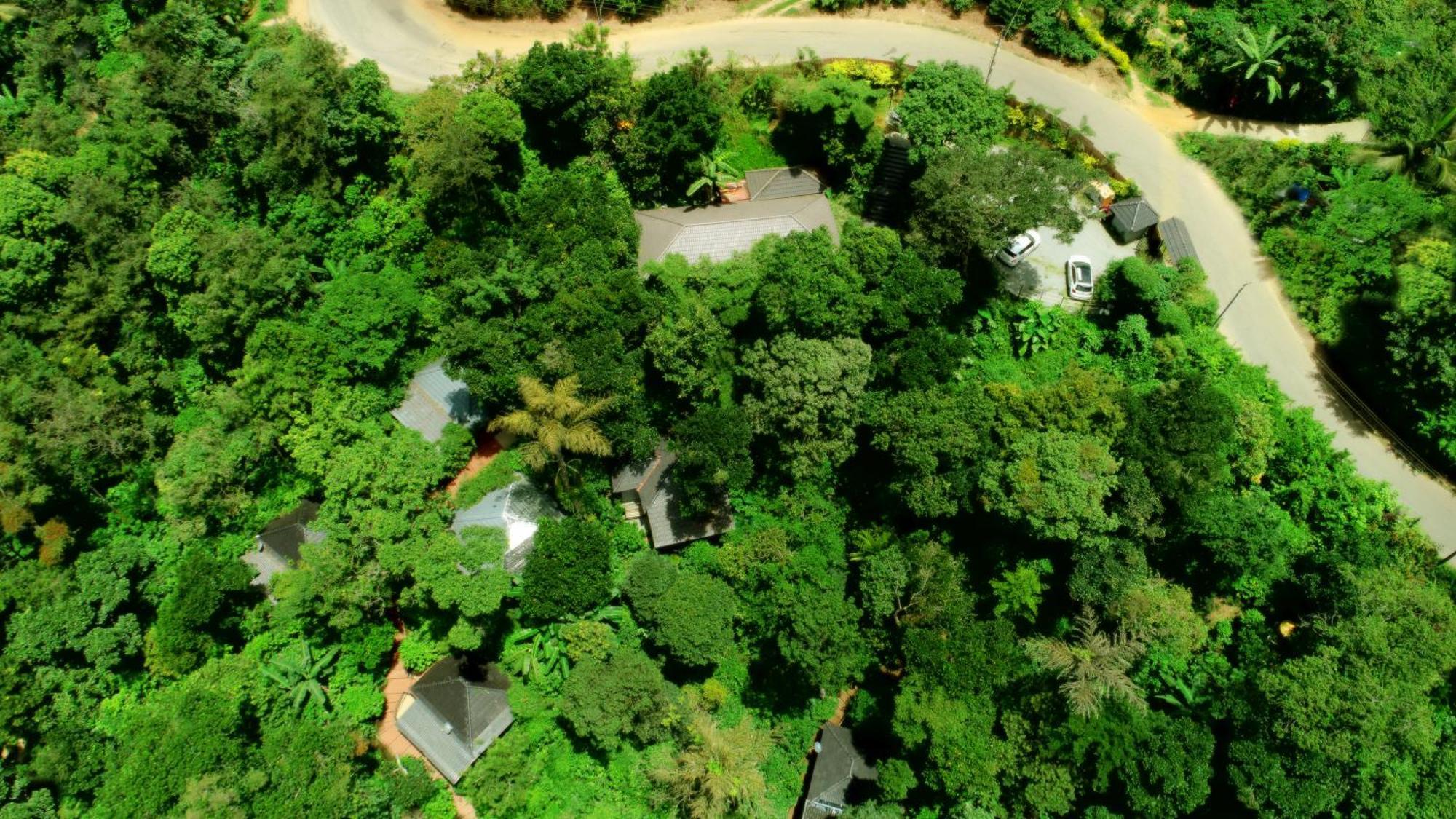 Misty Rain Estate Hotel Madikeri Bagian luar foto
