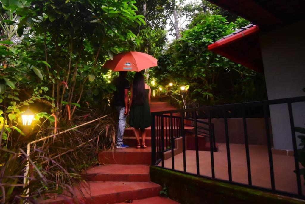 Misty Rain Estate Hotel Madikeri Bagian luar foto
