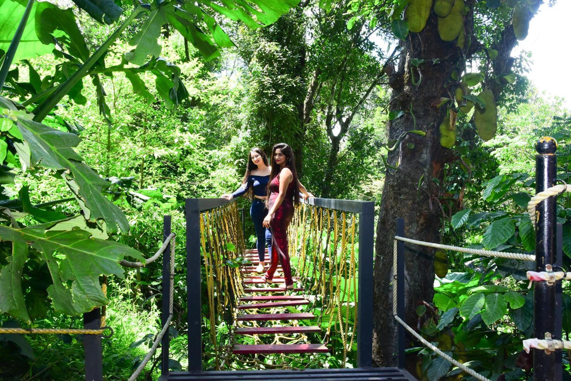 Misty Rain Estate Hotel Madikeri Bagian luar foto
