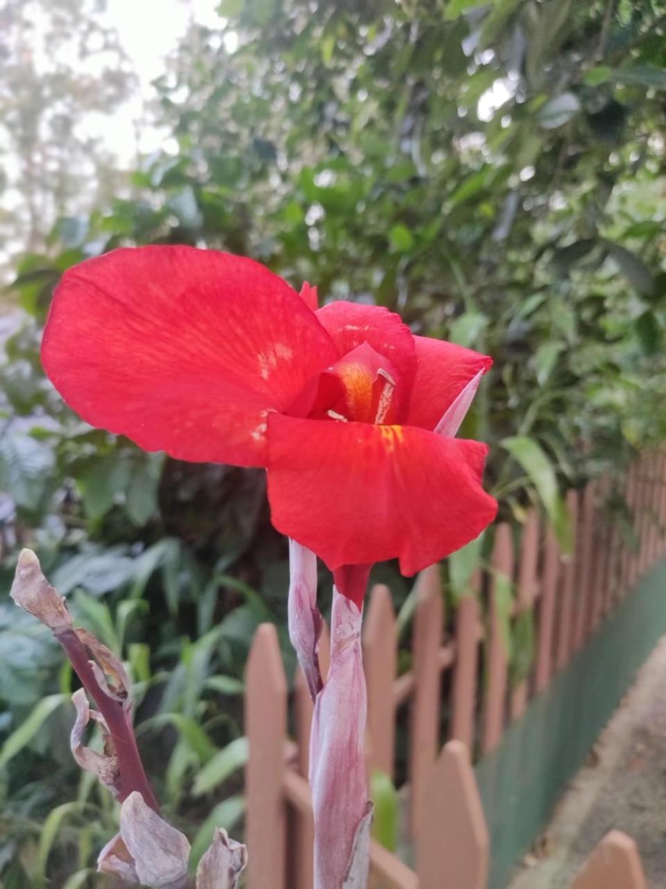 Misty Rain Estate Hotel Madikeri Bagian luar foto