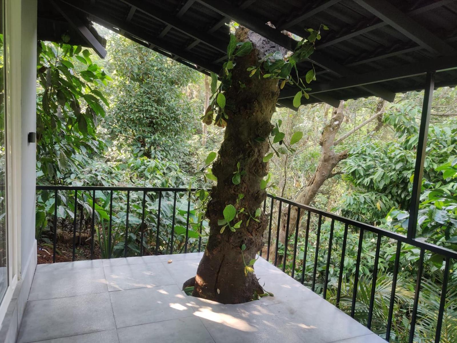 Misty Rain Estate Hotel Madikeri Bagian luar foto