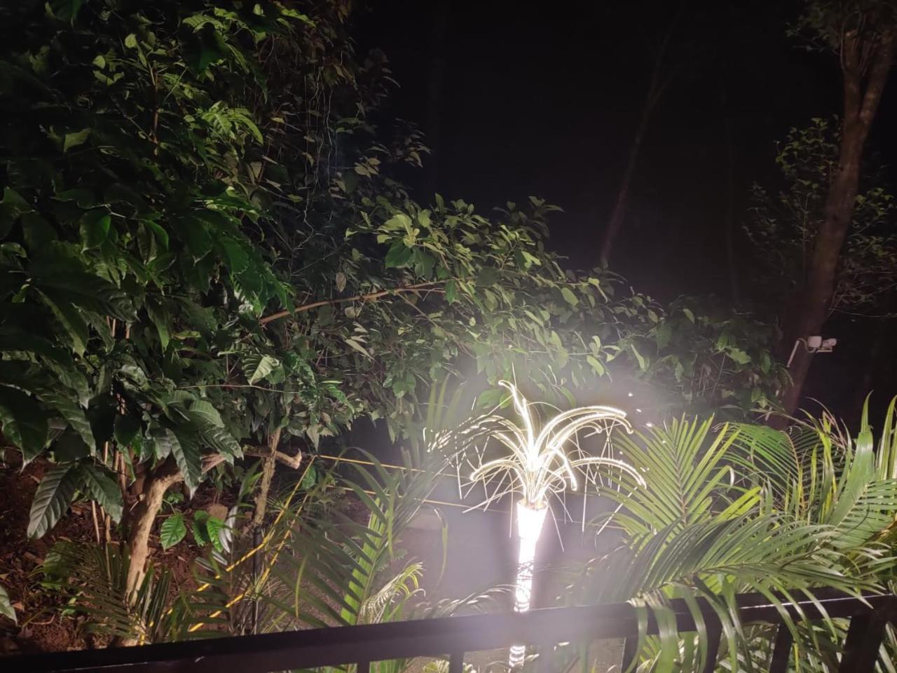 Misty Rain Estate Hotel Madikeri Bagian luar foto